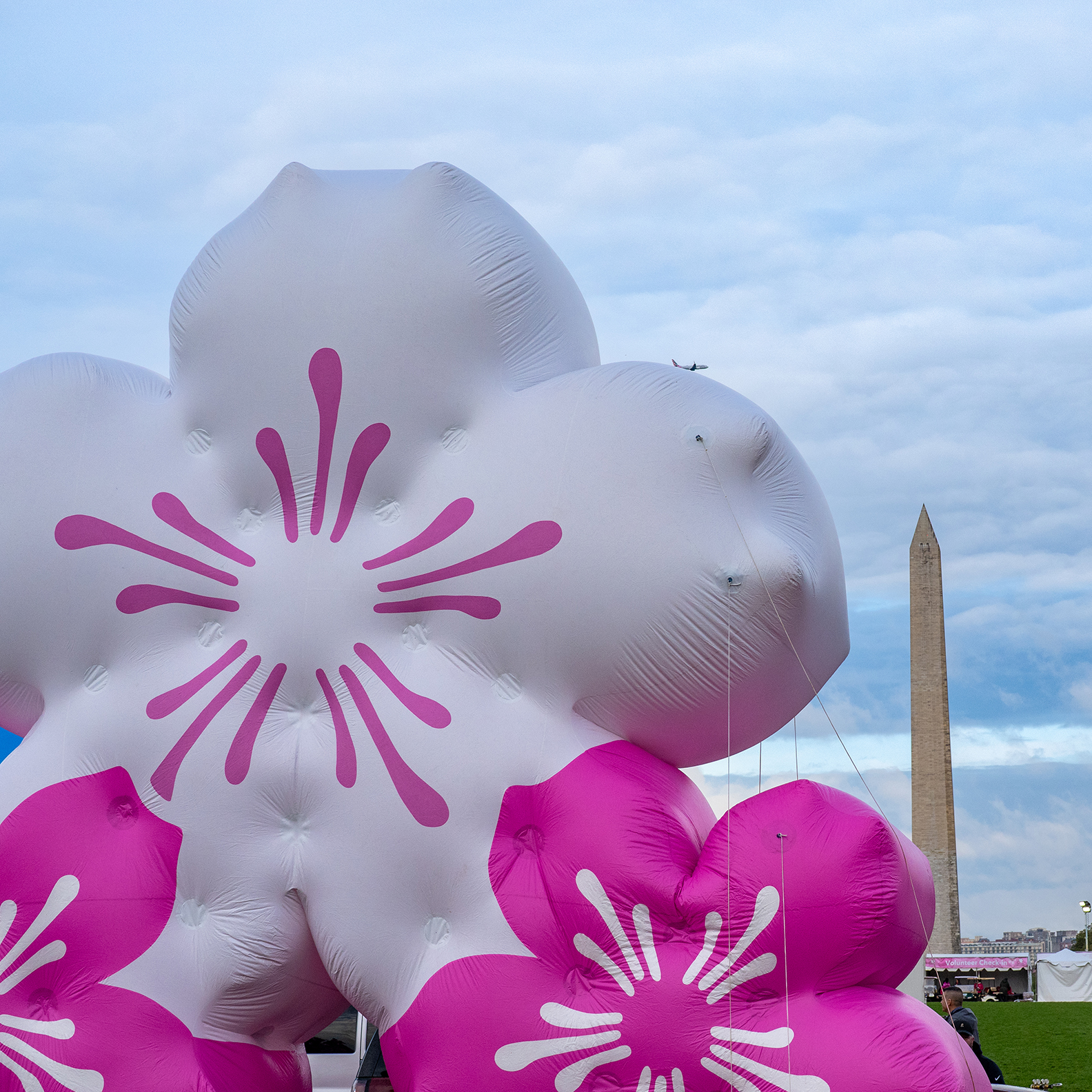 Cherry Blossom Balloons
