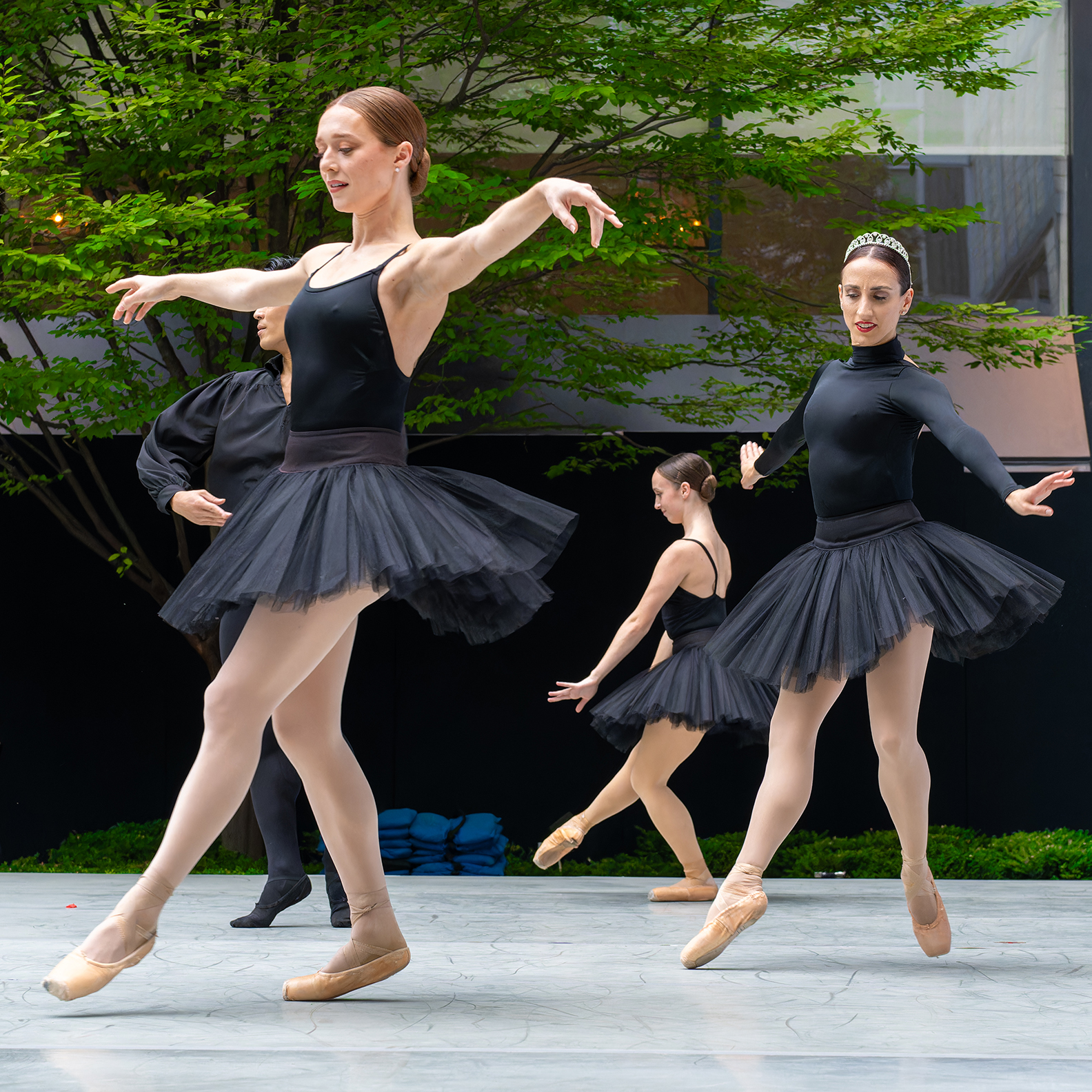 The Washington Ballet