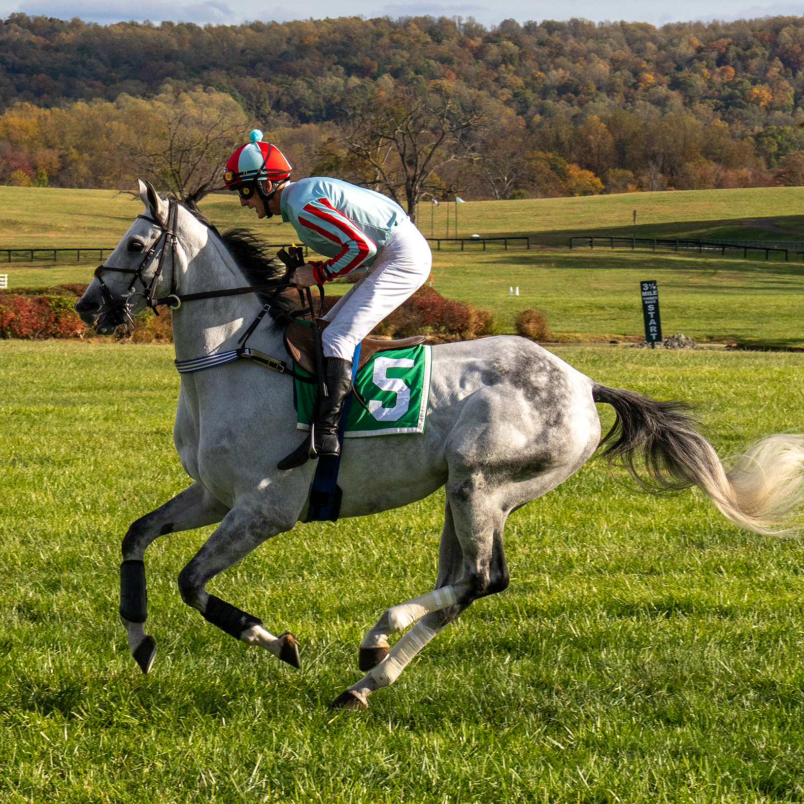 International Gold Cup