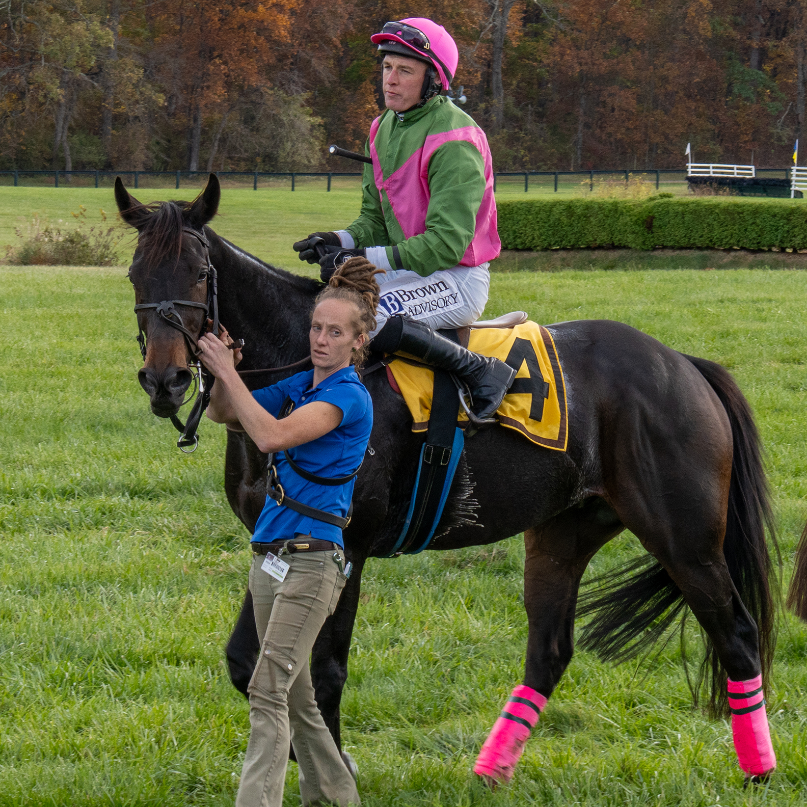 International Gold Cup