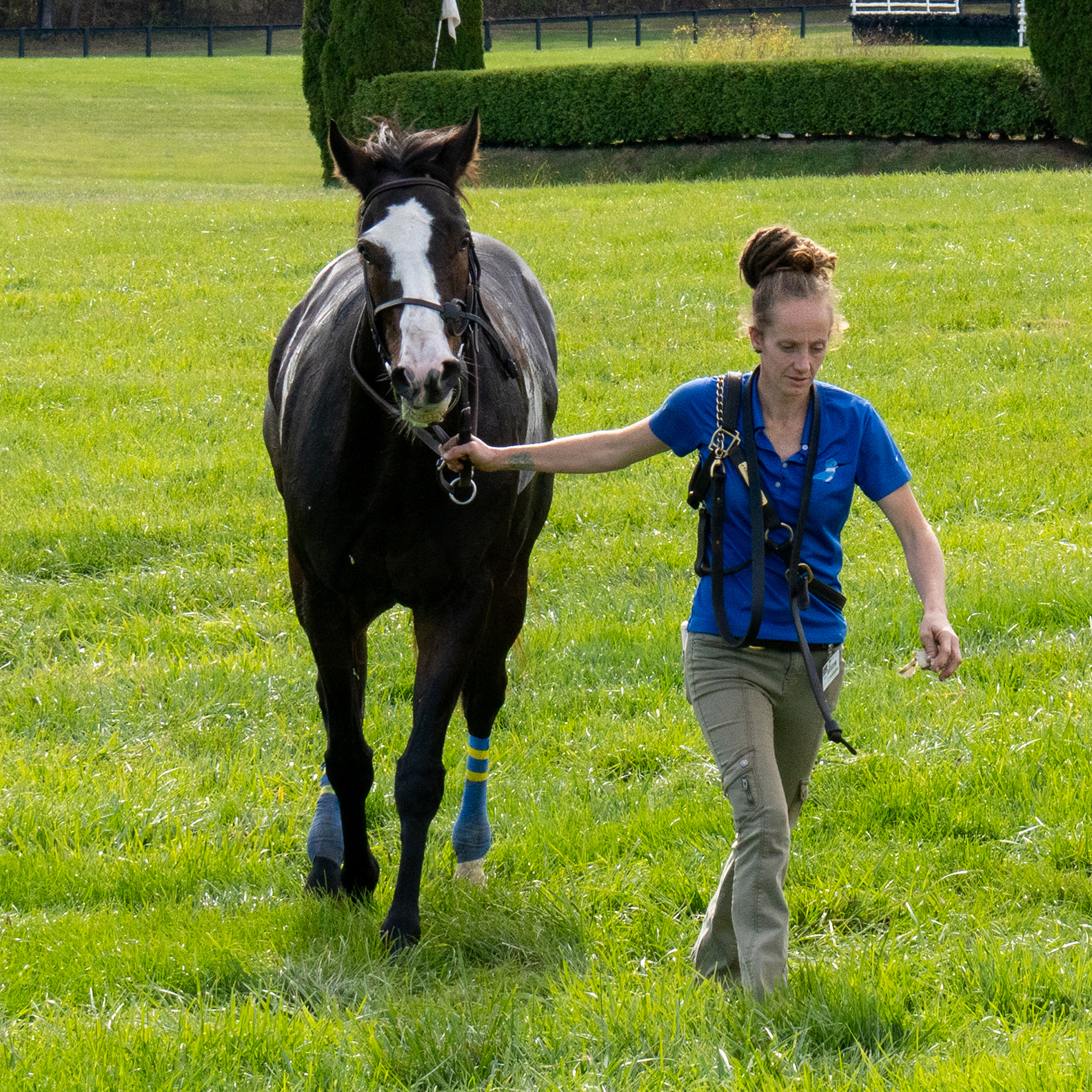 International Gold Cup