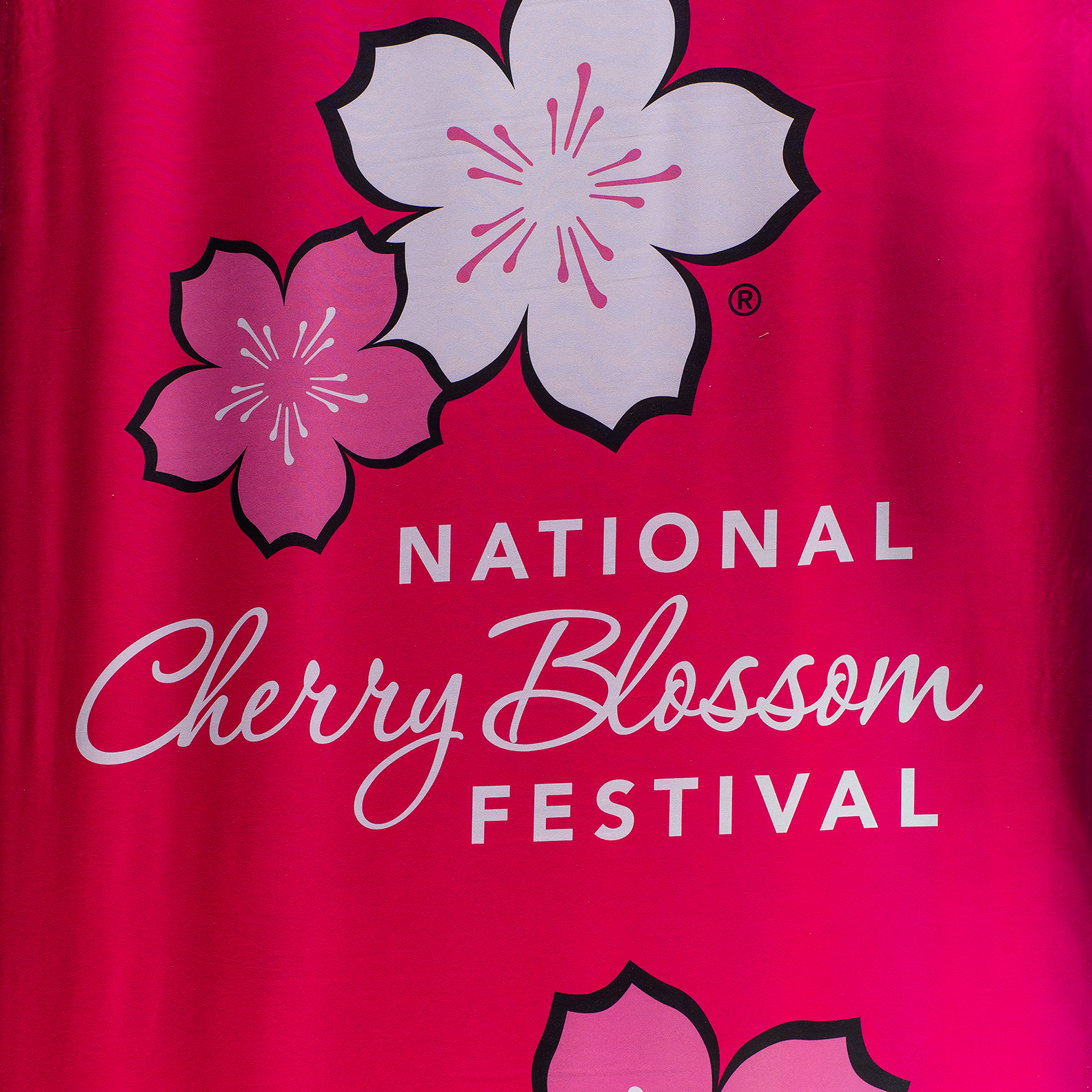 Cherry Blossom Festival Banner