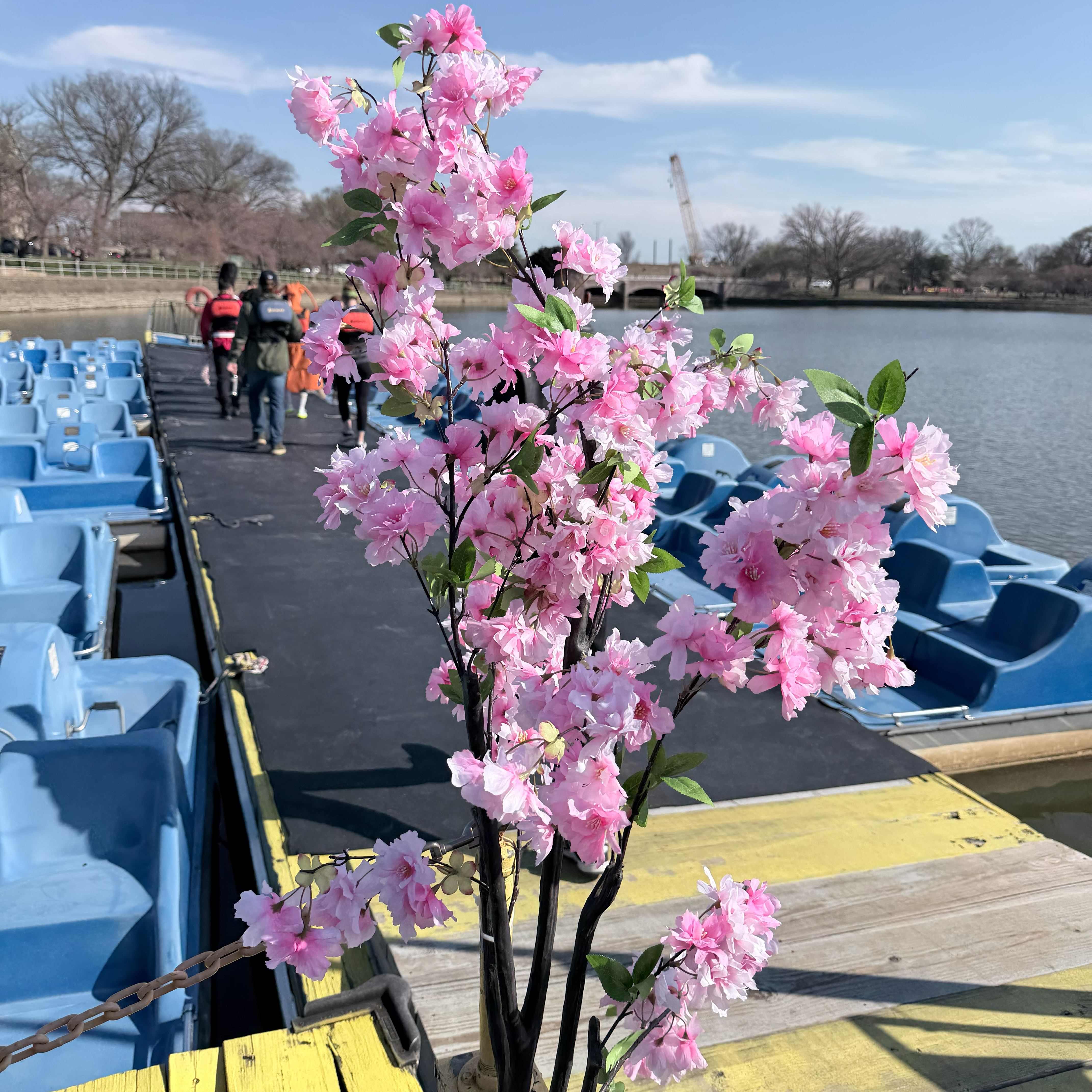 Stumpy's Petals & Paddles Race