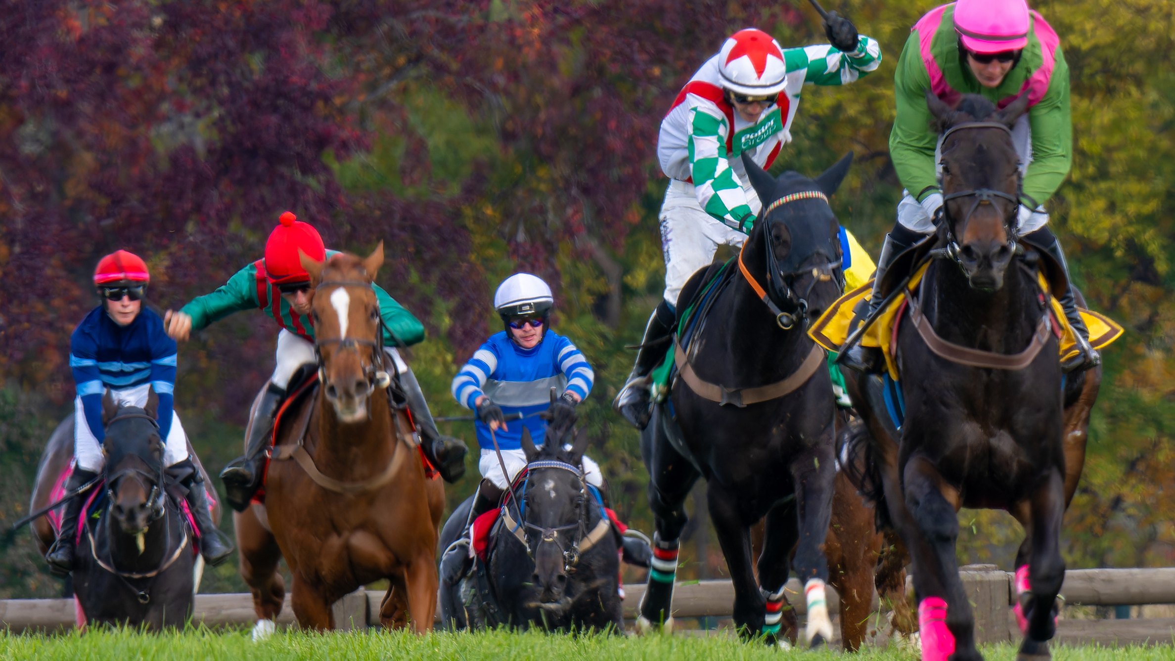 International Gold Cup 2025