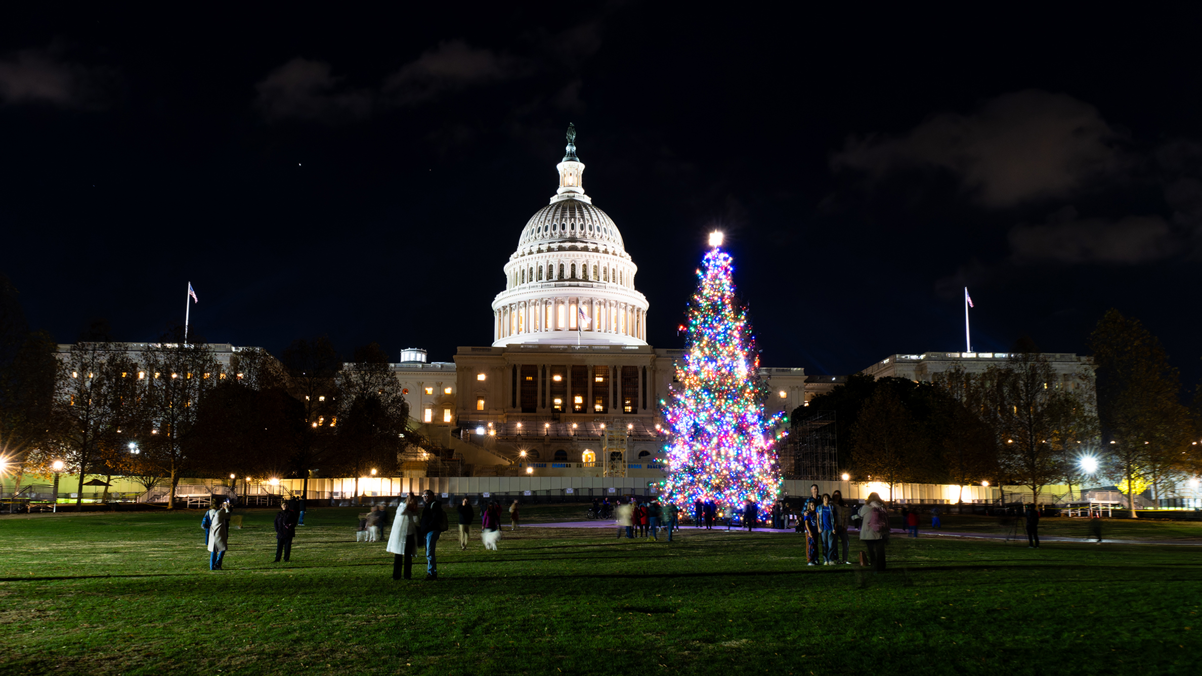 US Capitol Tree 2025