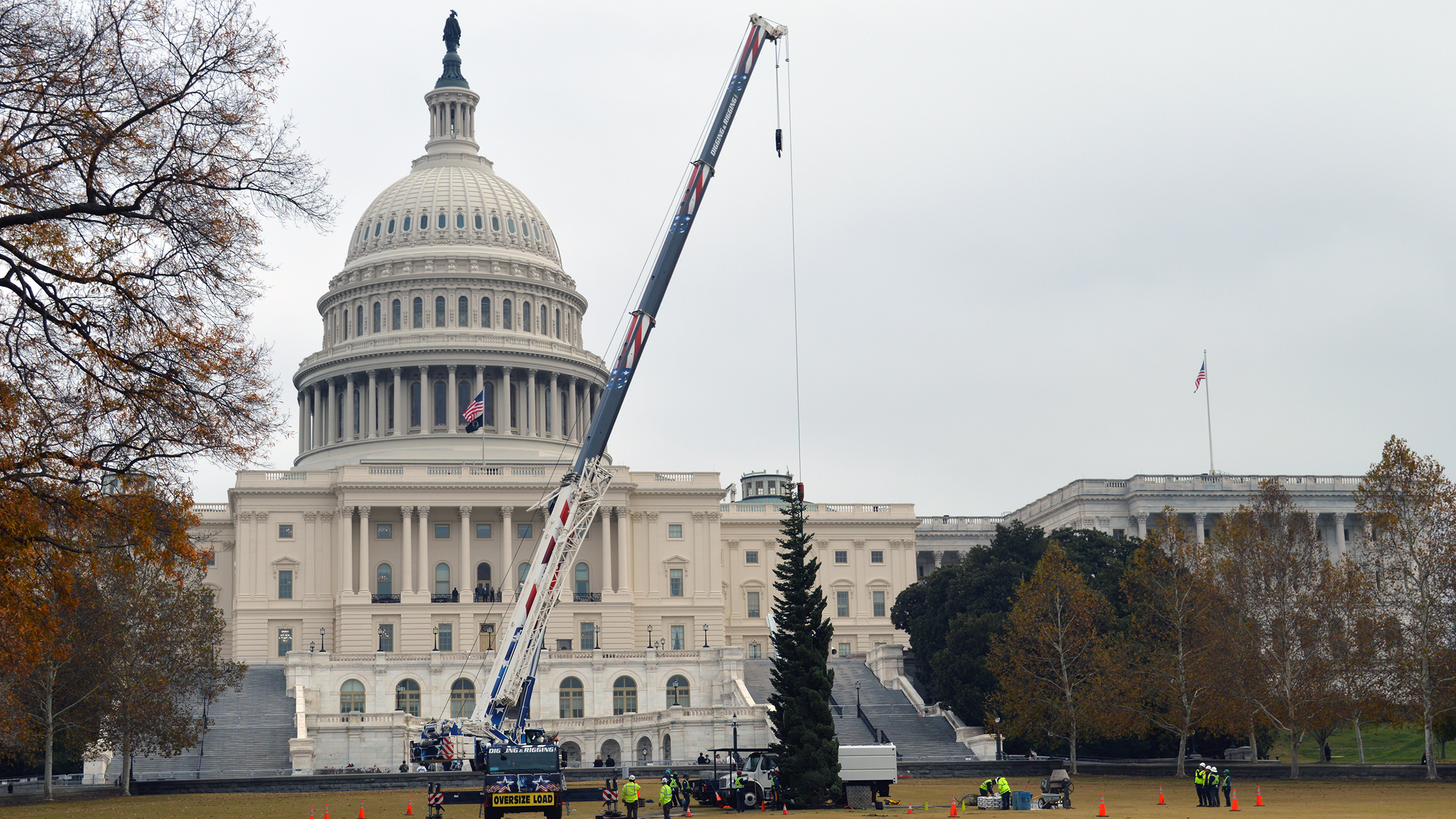 US Capitol Tree Lighting Ceremony 2025