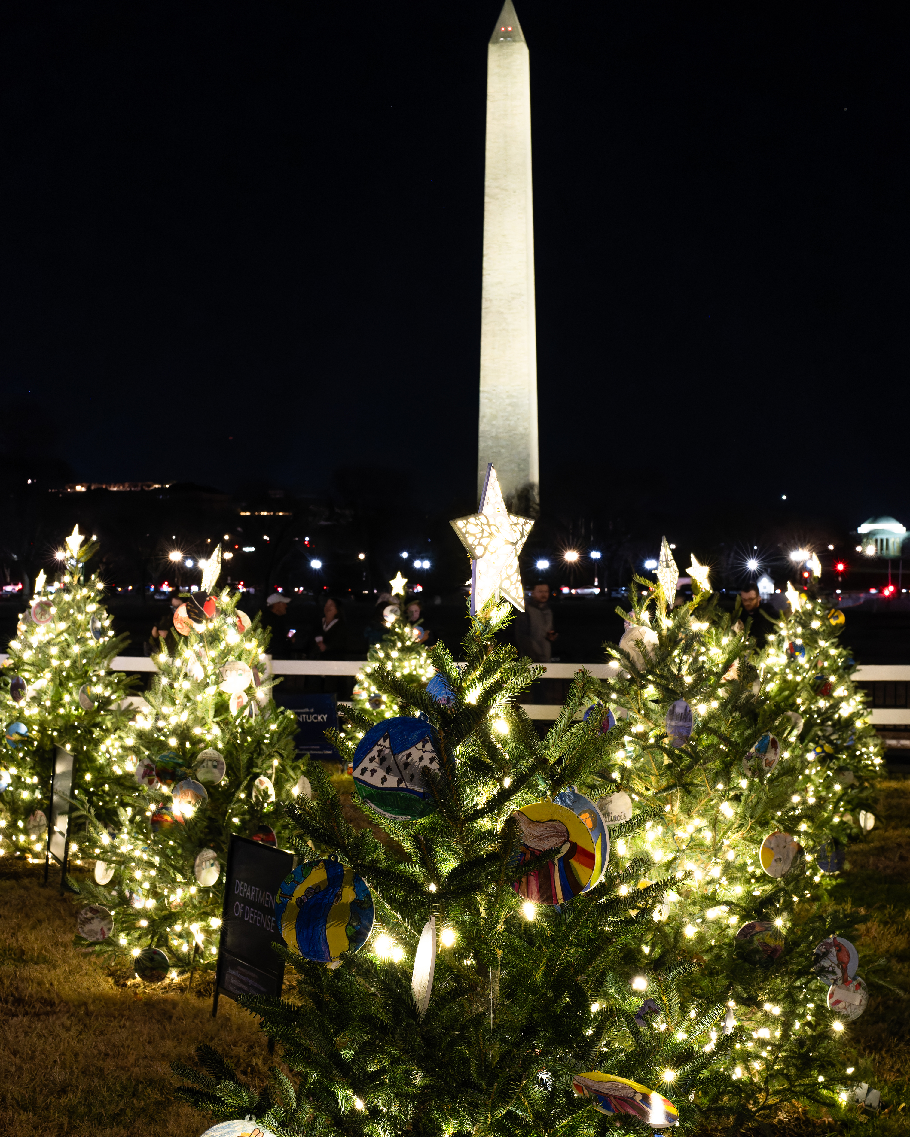 The National Christmas Tree Walk