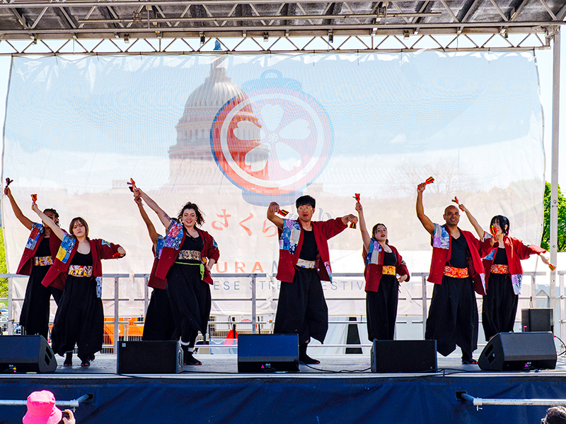 Sakura Matsuri 2024