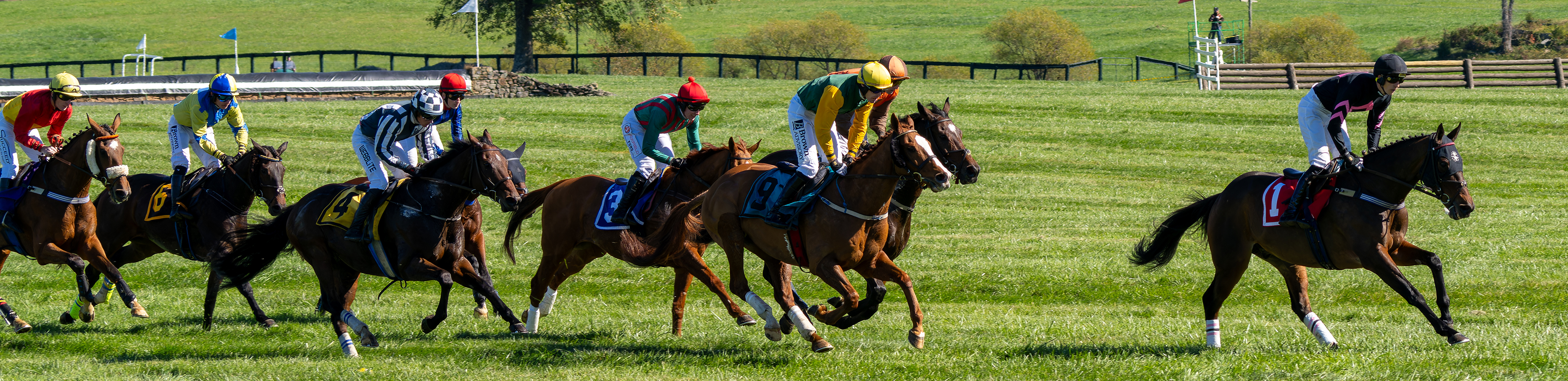 International Gold Cup at Great Meadow