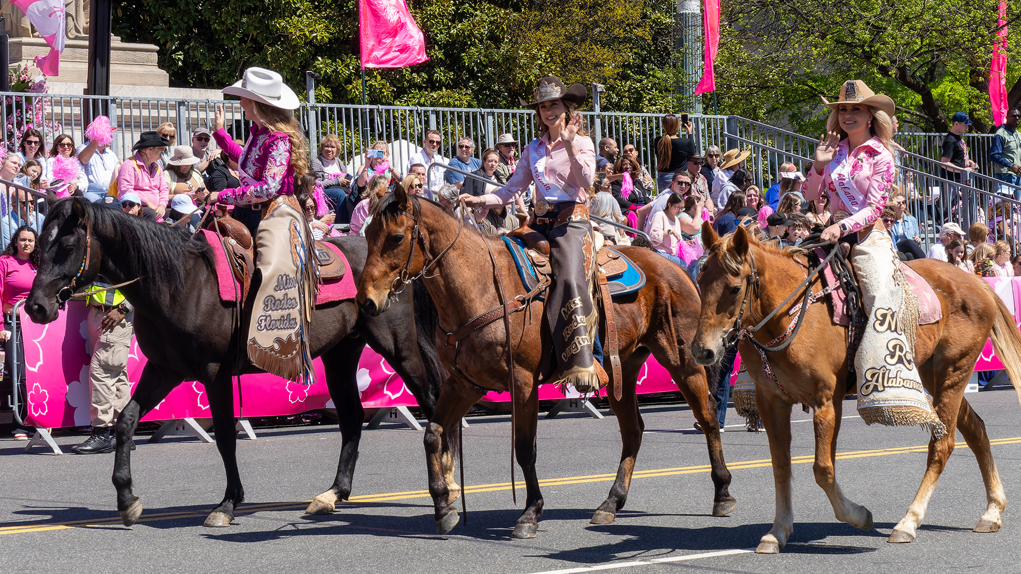 Miss Rodeos on display