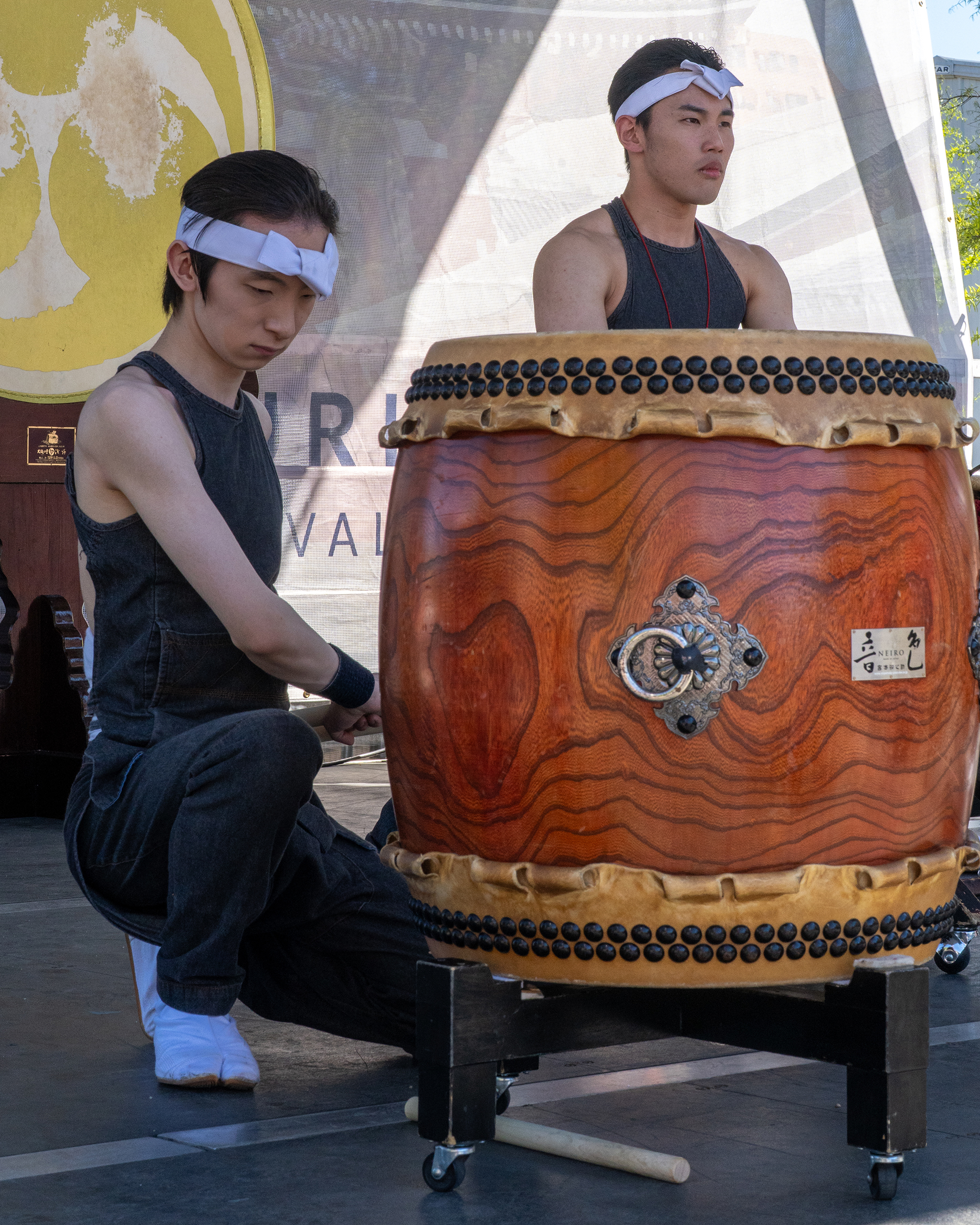 Visitors exploring Japan Now at Sakura Matsuri