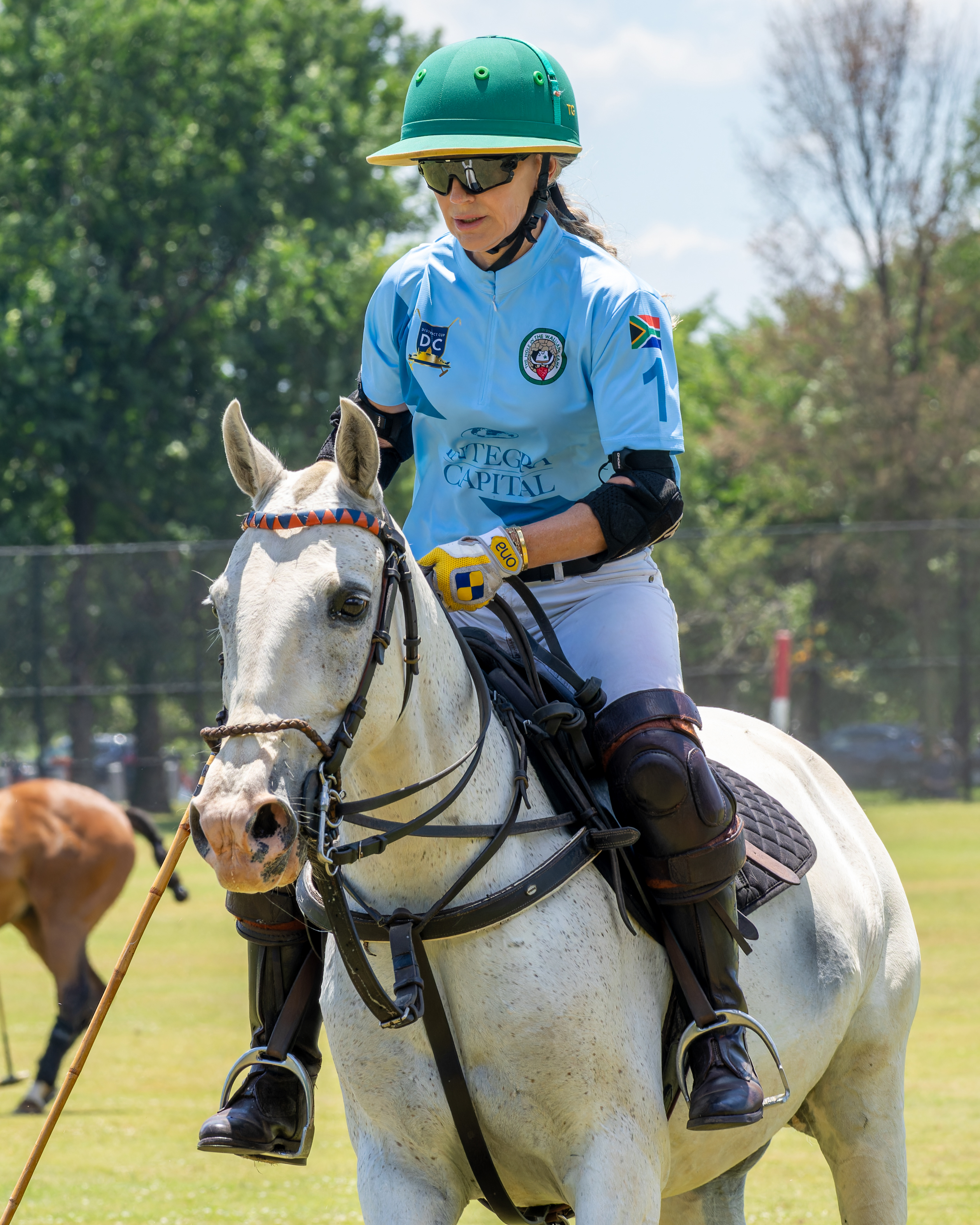 The District Cup Polo Match