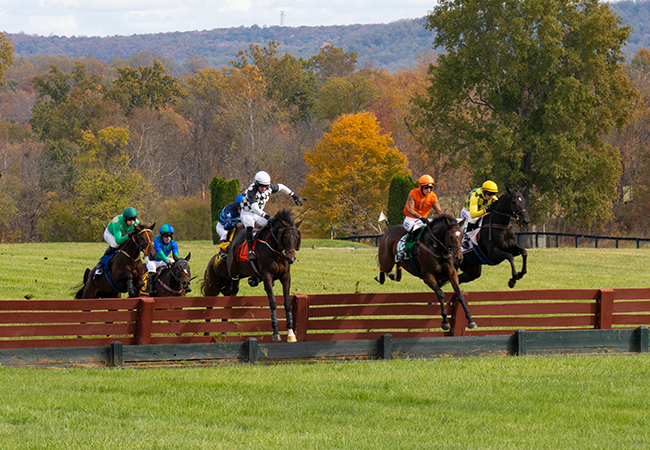 International Gold Cup