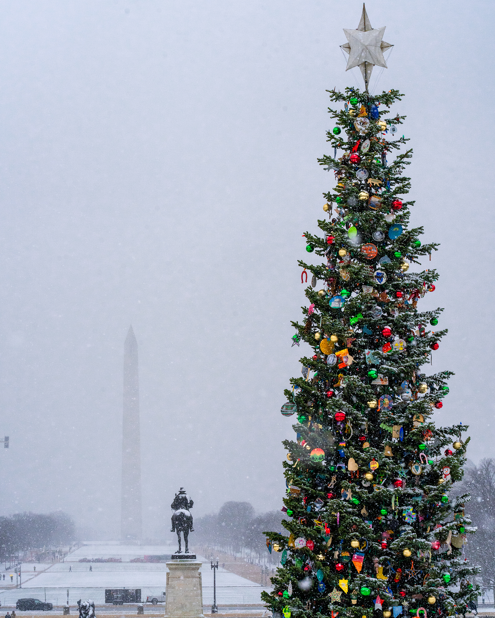 US Capitol Christmas Tree Silver Belle