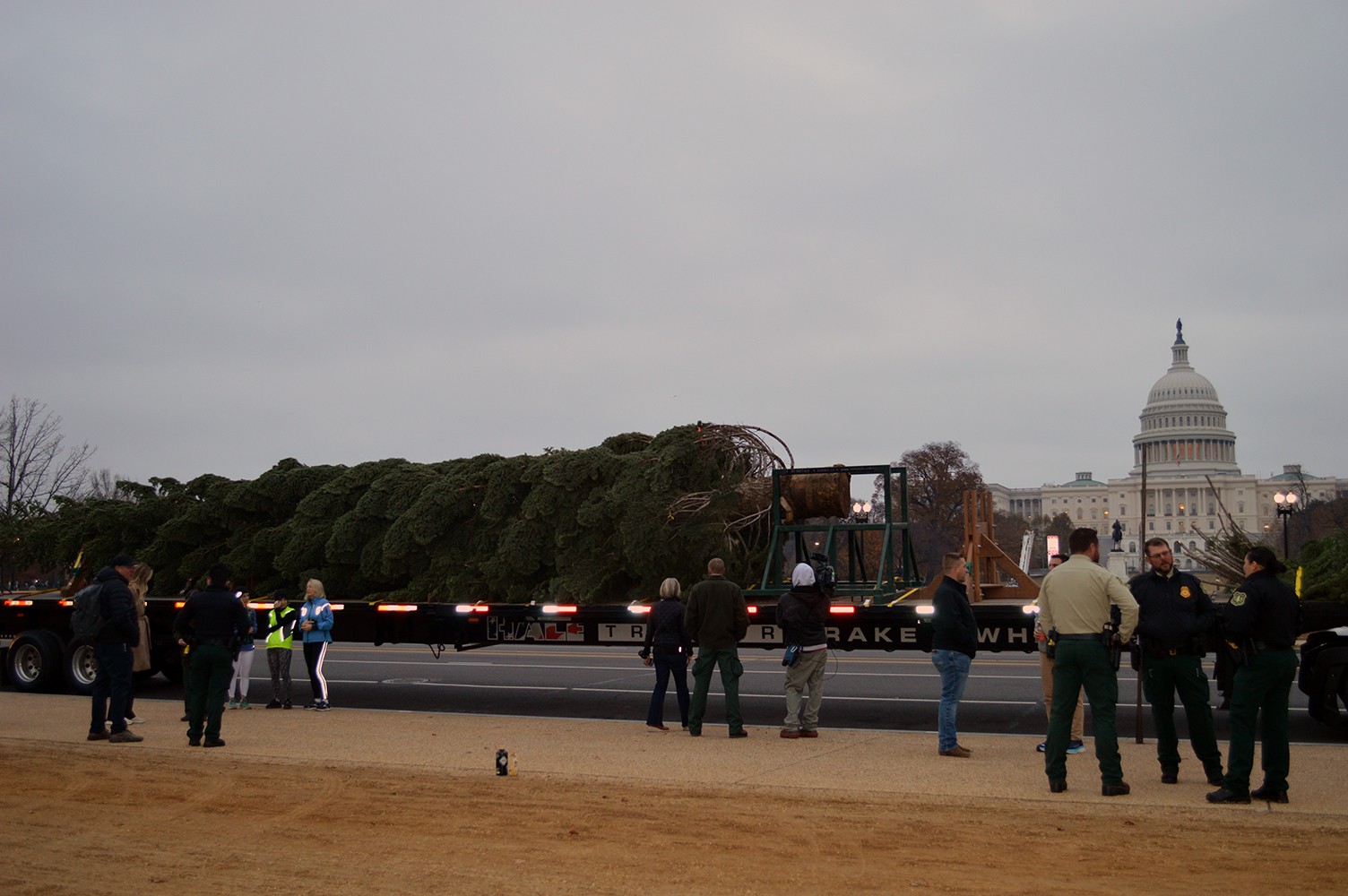 Capitol Christmas Tree