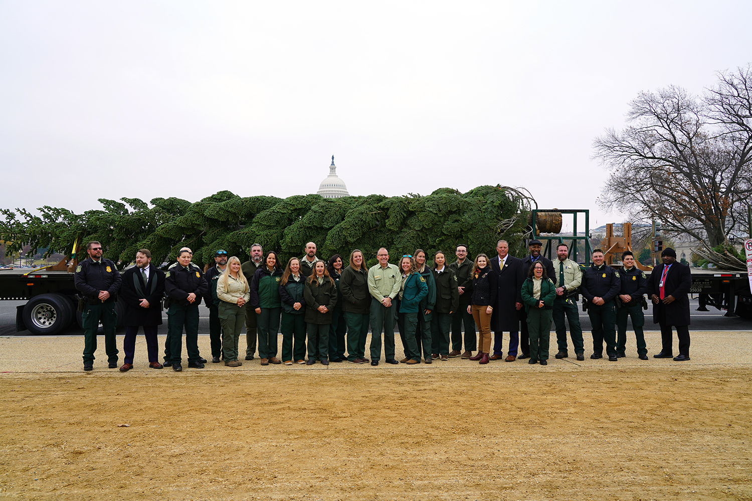 US Capitol Christmas Tree